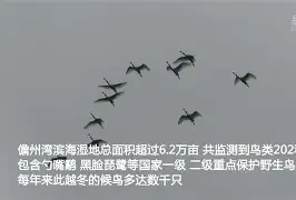 爱游戏娱乐-KQ╡裈{萠?羣勺簿o9